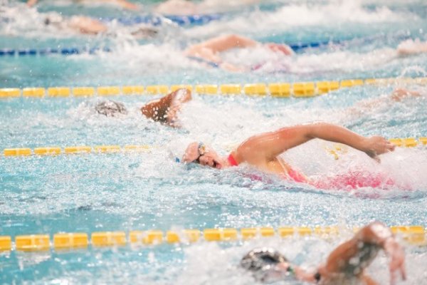 swimmeeting 2024