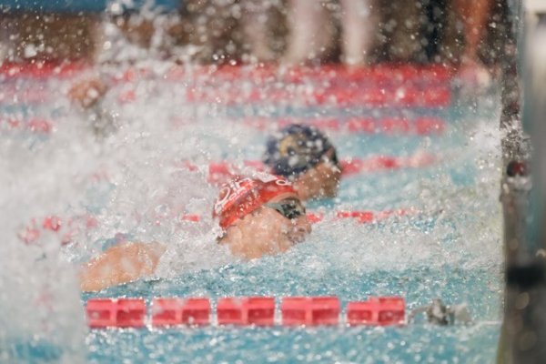 swimmeeting 2024