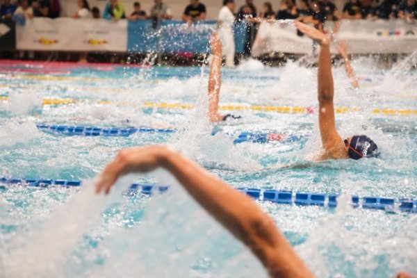 swimmeeting 2024
