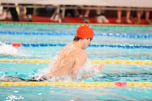 swimmeeting 2024