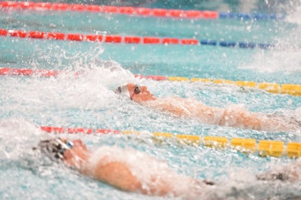 swimmeeting 2024