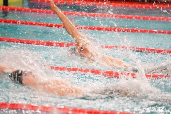 swimmeeting 2024